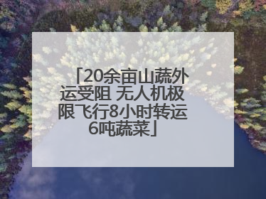 20余亩山蔬外运受阻 无人机极限飞行8小时转运6吨蔬菜
