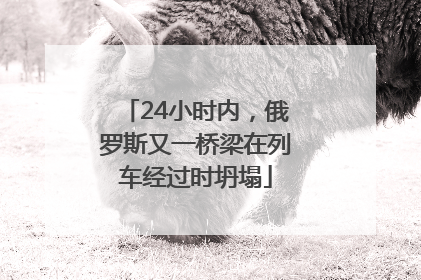 24小时内，俄罗斯又一桥梁在列车经过时坍塌