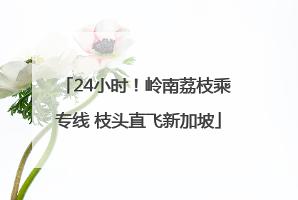 24小时！岭南荔枝乘专线 枝头直飞新加坡