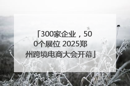 300家企业，500个展位 2025郑州跨境电商大会开幕