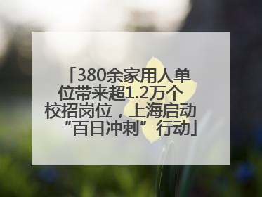 380余家用人单位带来超1.2万个校招岗位，上海启动“百日冲刺”行动