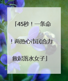 45秒！一条命！两热心市民合力救起落水女子