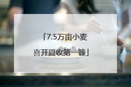 7.5万亩小麦喜开夏收第一镰