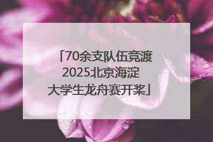 70余支队伍竞渡 2025北京海淀大学生龙舟赛开桨