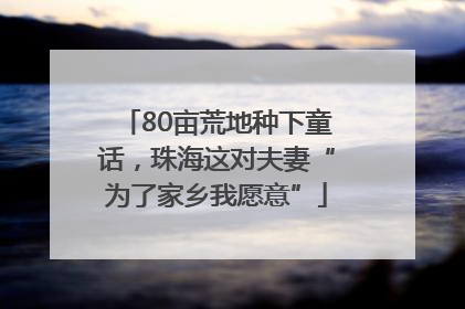 80亩荒地种下童话，珠海这对夫妻“为了家乡我愿意”