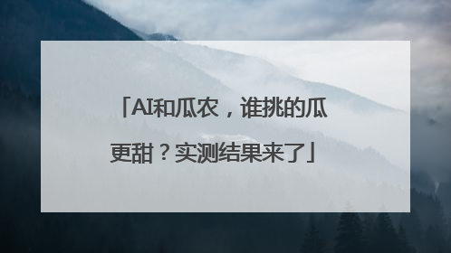 AI和瓜农，谁挑的瓜更甜？实测结果来了