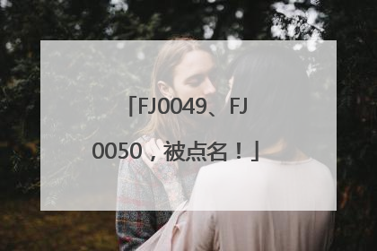 FJ0049、FJ0050，被点名！