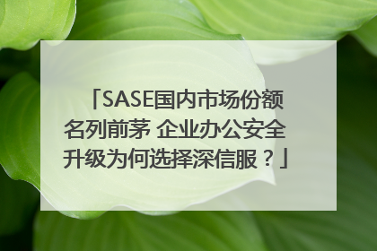 SASE国内市场份额名列前茅 企业办公安全升级为何选择深信服？